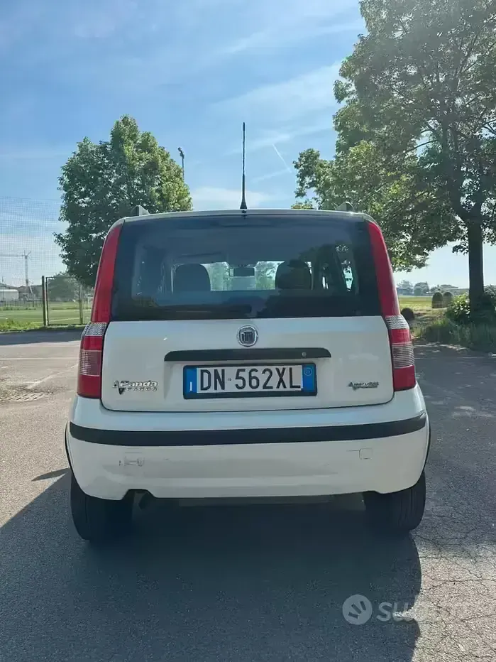 Usata Fiat Panda Dynamic 60 CV (44 kW) 2008 Bianco Utilitaria
