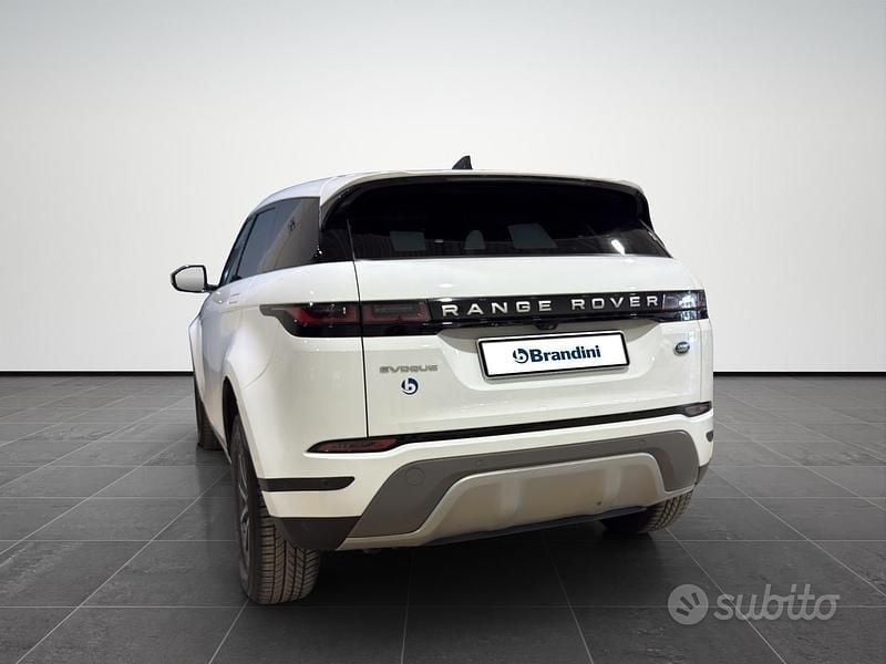 Usata Land Rover Range Rover evoque S 163 CV (119 kW) 2021 Bianco SUV