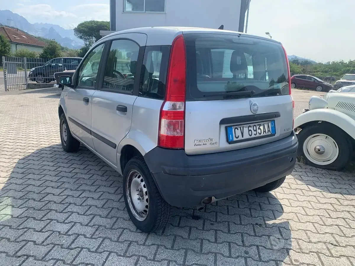 Usata Fiat Panda 4x4 Climbing 69 CV (50 kW) 2006 Grigio Utilitaria