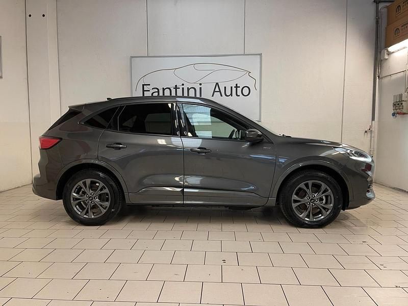 Usata Ford Kuga ST-Line X 152 CV (111 kW) 2023 Grigio SUV