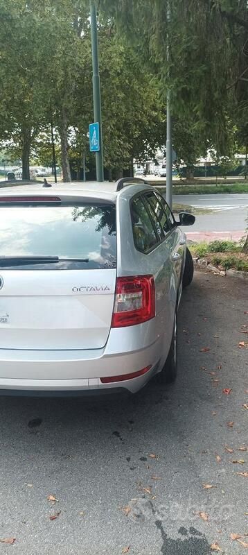 Usata Skoda Octavia 110 CV (80 kW) 2019 Grigio Station wagon