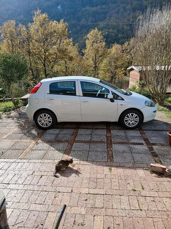 Usata Fiat Punto 2017 Utilitaria