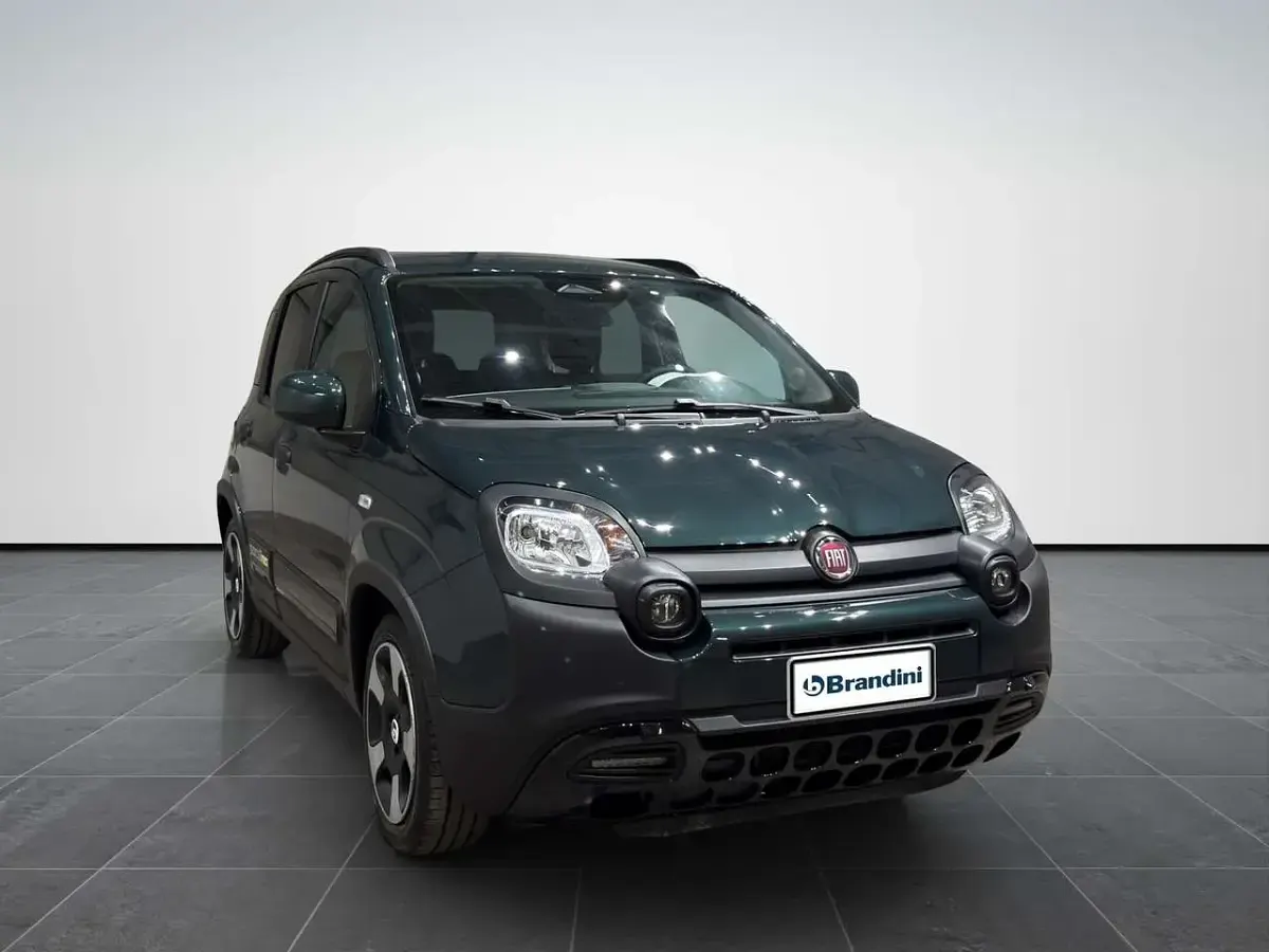 Usata Fiat Panda Cross Cross 70 CV (51 kW) 2025 Verde foresta Utilitaria