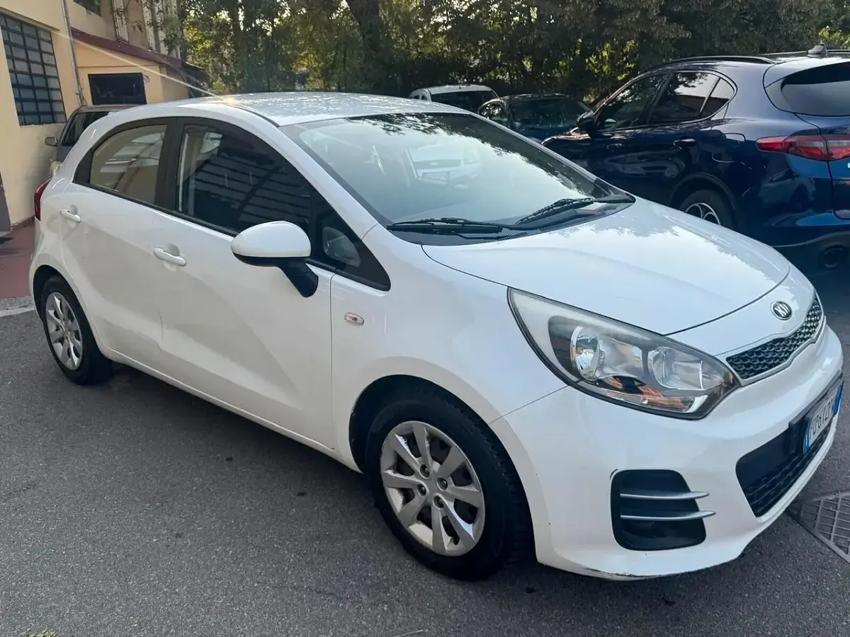 Usata Kia Rio 83 CV (61 kW) 2016 Bianco Utilitaria