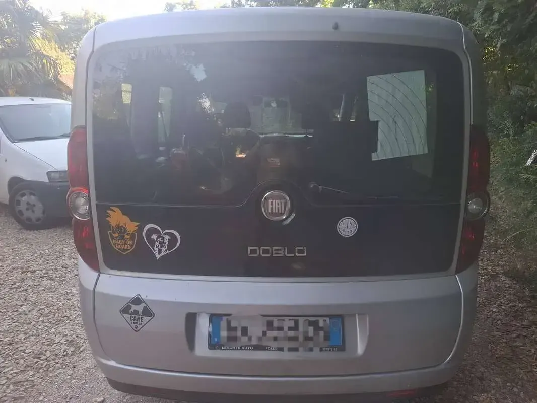 Usata Fiat Doblò Active 103 CV (75 kW) 2012 Argento Monovolume
