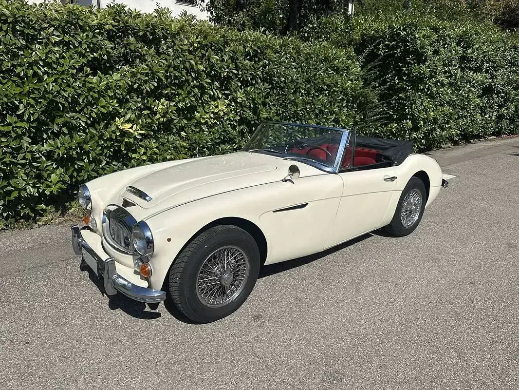 Usata Austin Healey 3000 MK III 148 CV (108 kW) 1967 Bianco Cabrio