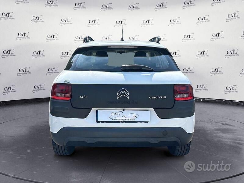 Usata Citroën C4 Shine 110 CV (80 kW) 2016 Bianco SUV