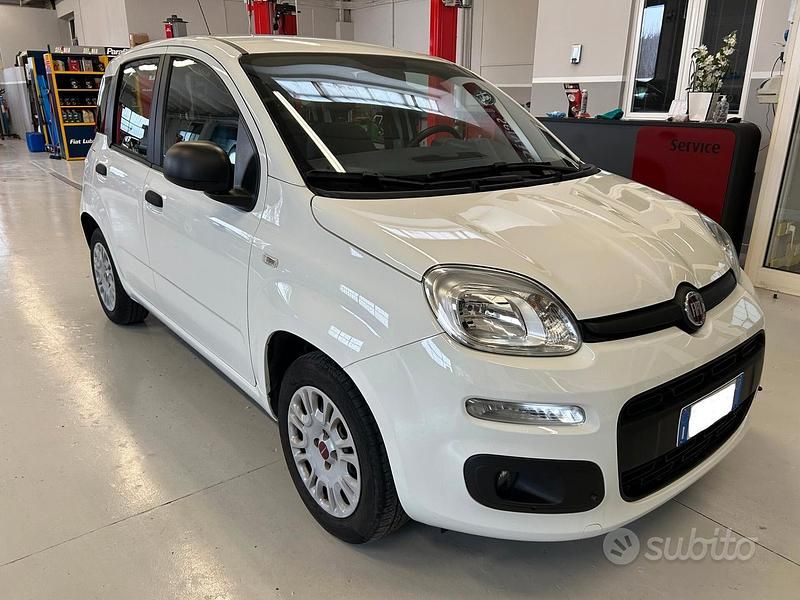 Usata Fiat Panda Easy 69 CV (50 kW) 2020 Bianco Utilitaria