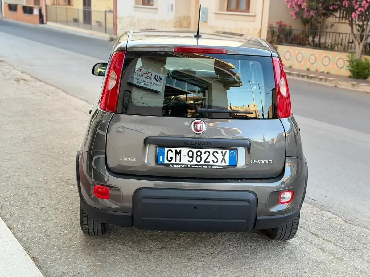 Usata Fiat Panda City Life 70 CV (51 kW) 2023 Grigio Utilitaria