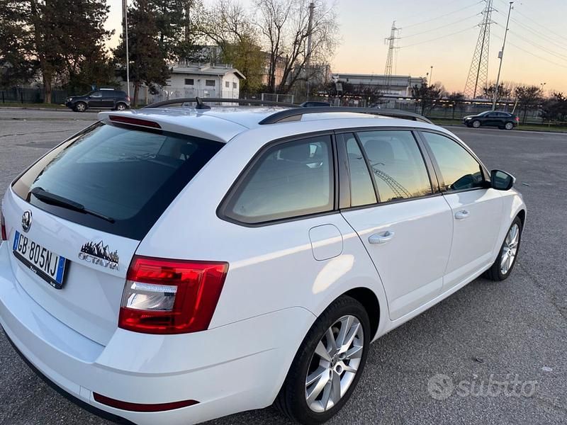 Usata Skoda Octavia 116 CV (85 kW) 2020 Bianco Station wagon