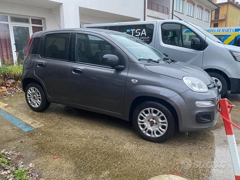 Usata Fiat Panda Lounge 69 CV (50 kW) 2019 Grigio Utilitaria