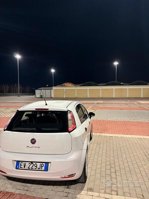 Usata Fiat Punto 75 CV (55 kW) 2014 Bianco Utilitaria