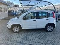 Usata Fiat Panda S 69 CV (50 kW) 2024 Bianco Utilitaria