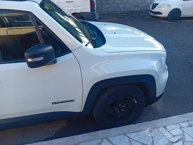 Usata Jeep Renegade Sport 120 CV (88 kW) 2016 Bianco SUV