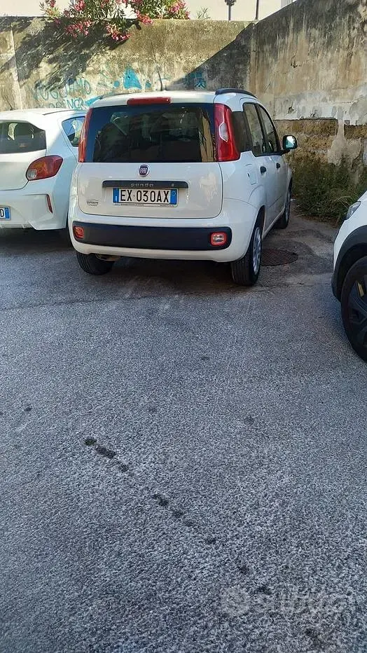 Usata Fiat Panda 75 CV (55 kW) 2014 Bianco Utilitaria