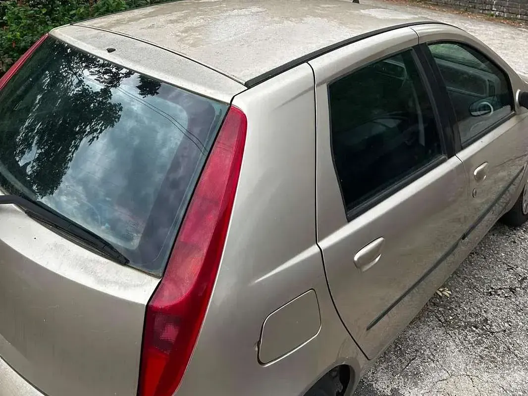 Usata Fiat Punto Dynamic 60 CV (44 kW) 2008 Oro Utilitaria