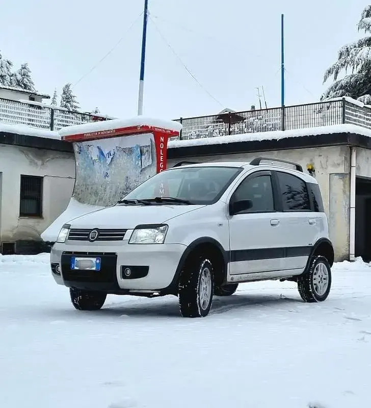 Usata Fiat Panda 4x4 60 CV (44 kW) 2008 Utilitaria