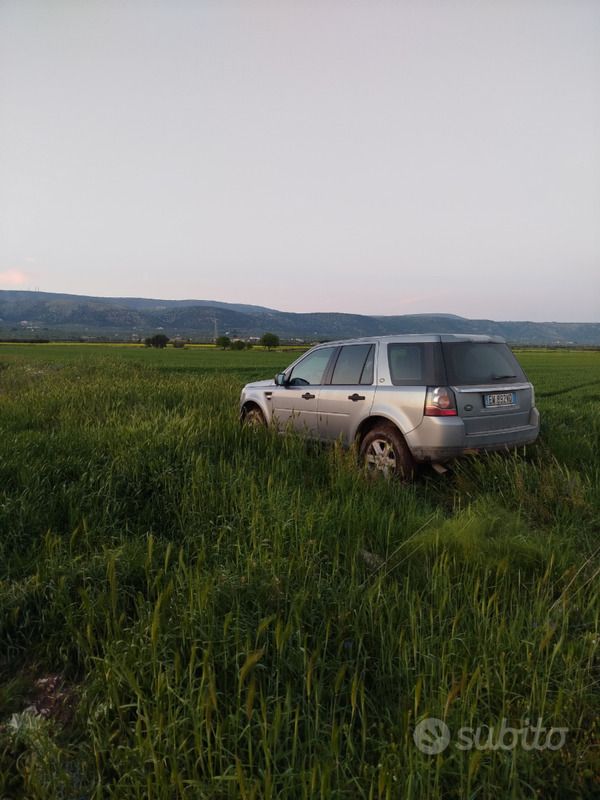 Usata Land Rover Freelander 2 150 CV (110 kW) 2014 SUV