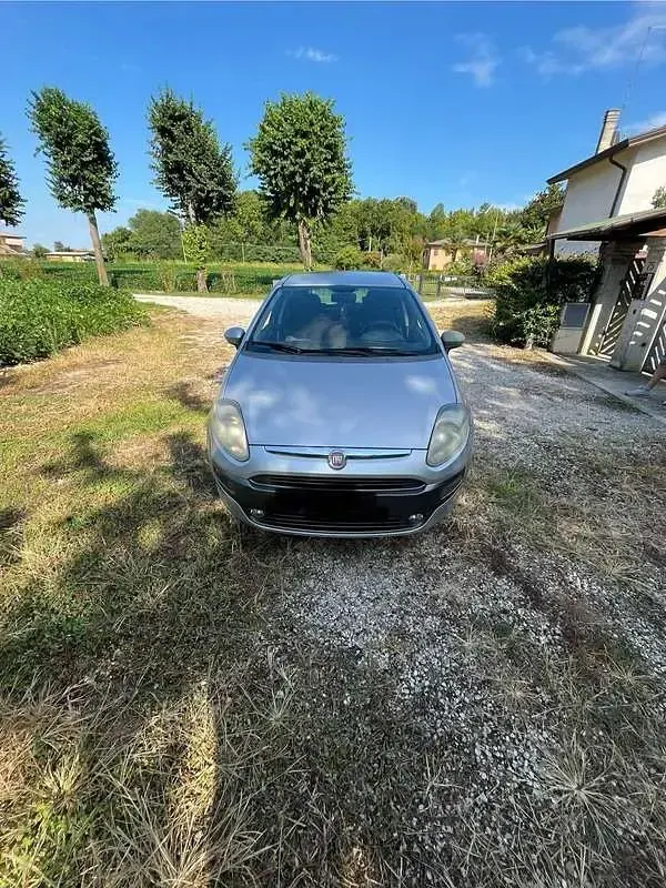 Usata Fiat Punto Evo Active 69 CV (50 kW) 2010 Utilitaria