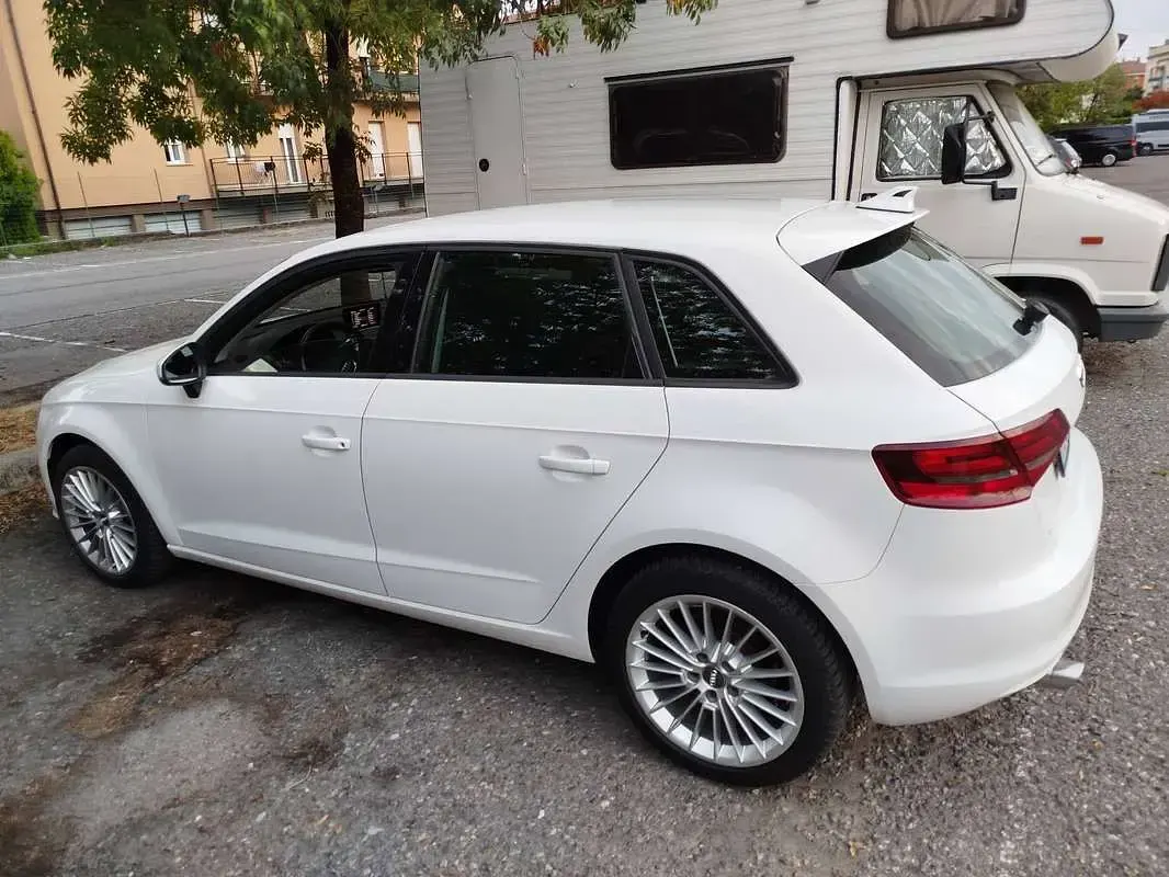 Usata Audi A3 Ambiente 110 CV (80 kW) 2015 Bianco Station wagon