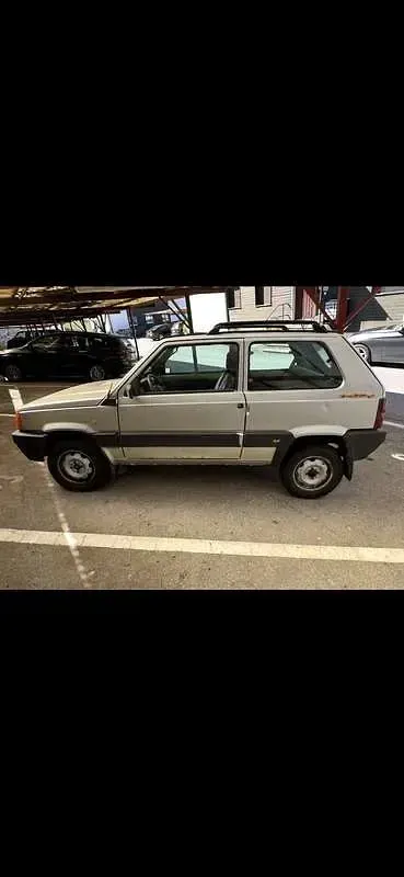 Usata Fiat Panda 4x4 Trekking 39 CV (28 kW) 2020 Utilitaria