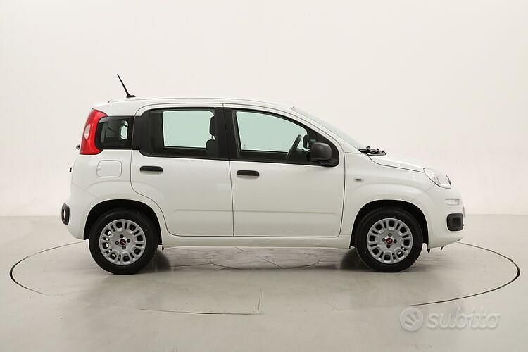 Usata Fiat Panda Easy 69 CV (50 kW) 2020 Bianco Utilitaria