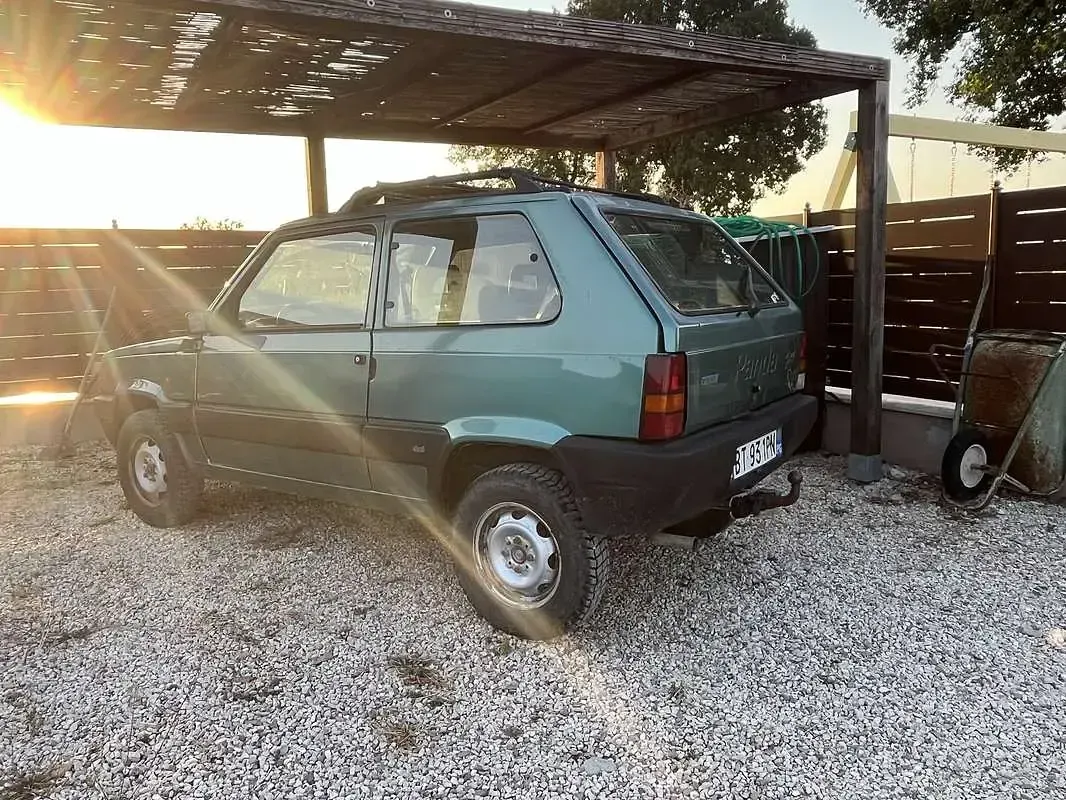 Usata Fiat Panda 4x4 Trekking 54 CV (39 kW) 2001 Utilitaria