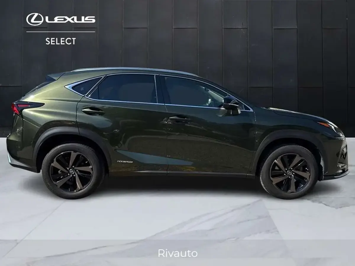 Usata Lexus NX300h 197 CV (144 kW) 2021 Verde SUV