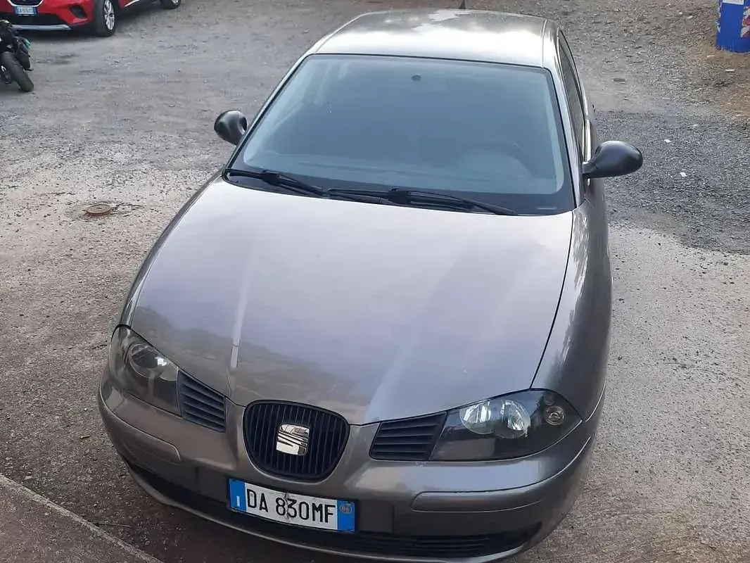 Usata Seat Ibiza Reference 64 CV (47 kW) 2006 Grigio Utilitaria