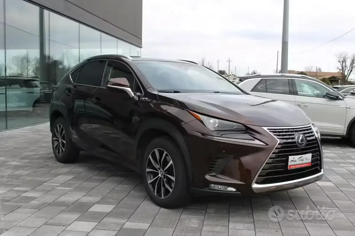 Usata Lexus NX300h Business Edition 155 CV (114 kW) 2018 Marrone SUV