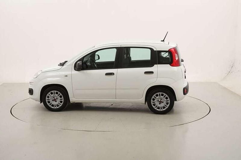 Usata Fiat Panda Easy 69 CV (50 kW) 2020 Bianco Utilitaria