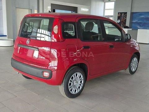 Nuova Fiat Panda Pop 65 CV (47 kW) 2026 Rosso Utilitaria