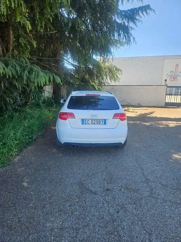 Usata Audi A3 Ambition 125 CV (91 kW) 2010 Bianco Utilitaria