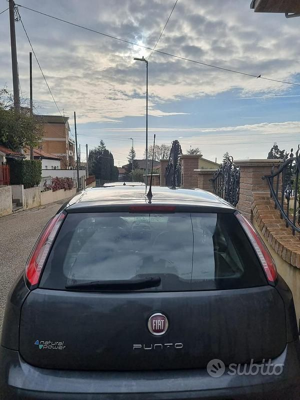 Usata Fiat Punto 2012 Grigio Berlina