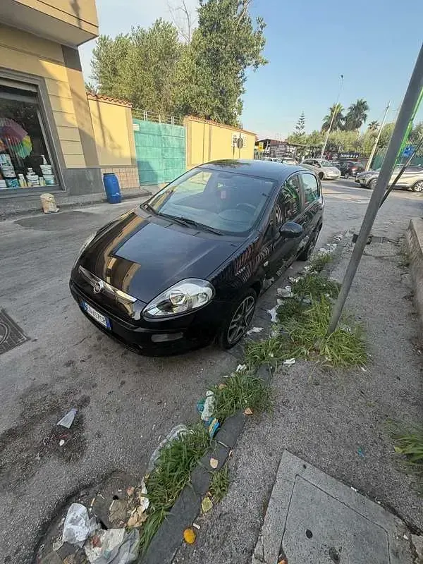 Usata Fiat Punto Evo Dynamic 77 CV (56 kW) 2010 Utilitaria