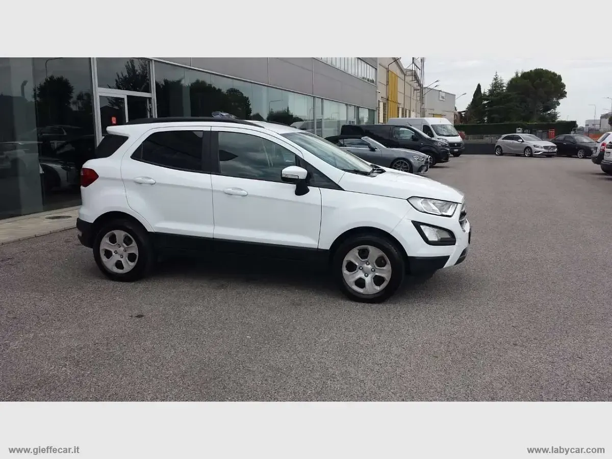 Usata Ford Ecosport 99 CV (72 kW) 2019 Bianco SUV