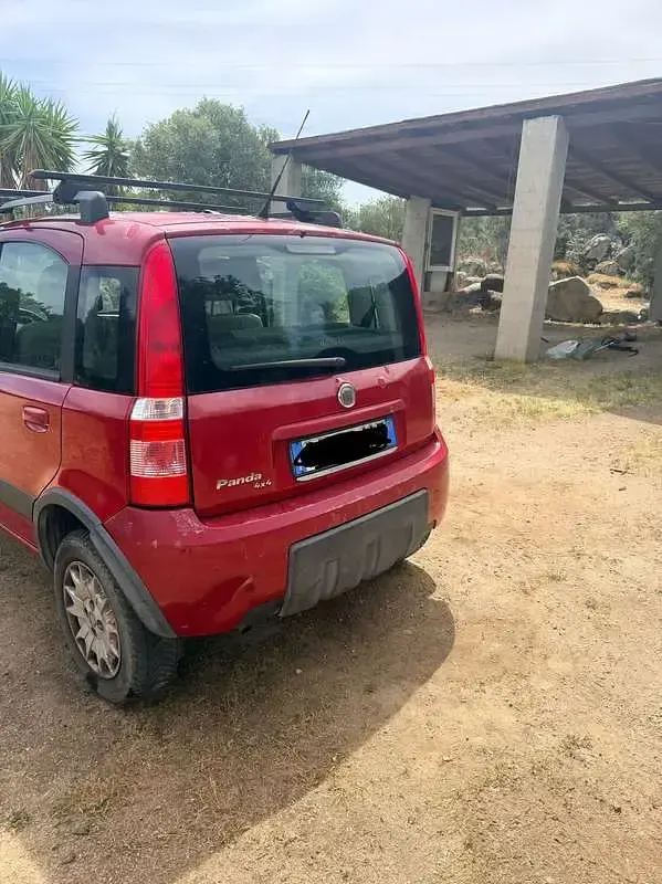 Usata Fiat Panda 4x4 60 CV (44 kW) 2008 Rosso Utilitaria