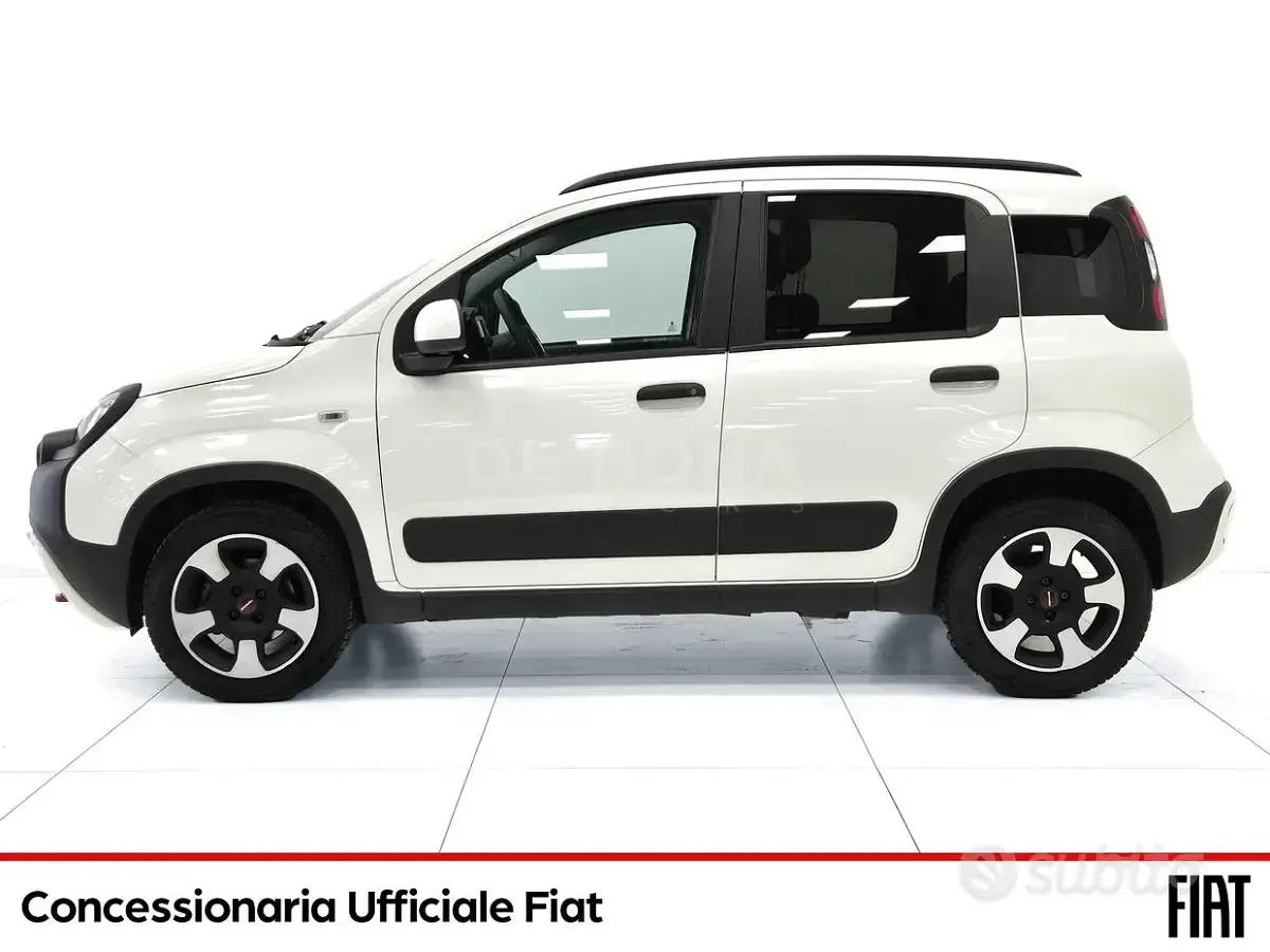 Usata Fiat Panda Cross Cross 70 CV (51 kW) 2023 Bianco Utilitaria