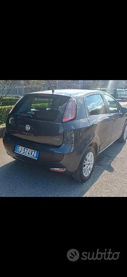 Usata Fiat Punto Evo 69 CV (50 kW) 2011 Utilitaria