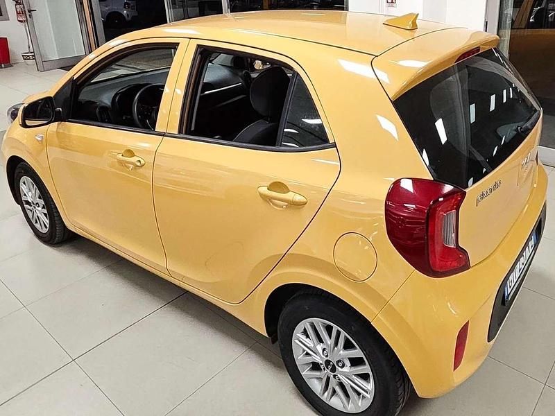 Usata Kia Picanto Urban 67 CV (49 kW) 2023 Giallo Utilitaria