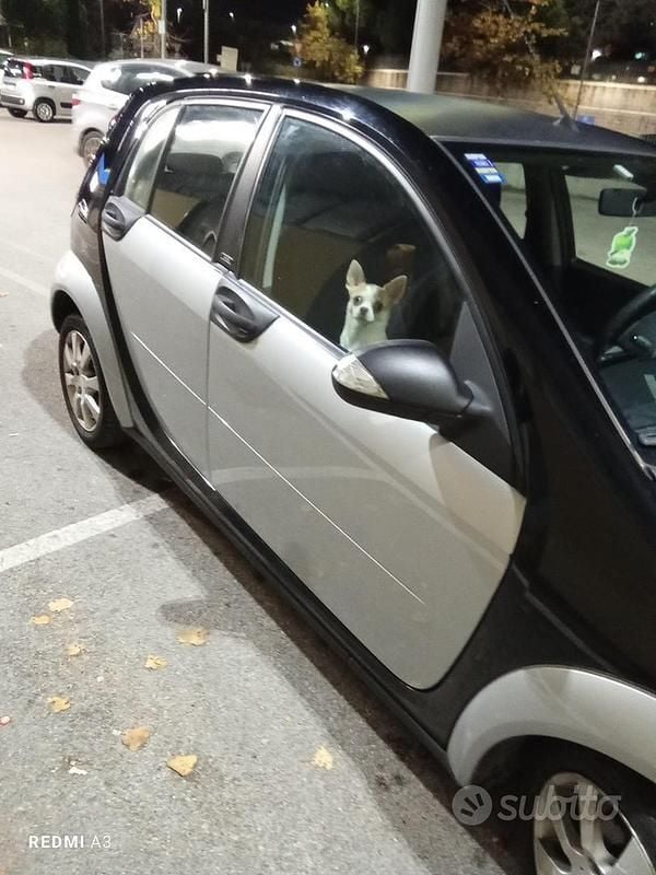 Usata Smart ForFour 68 CV (50 kW) 2006 Grigio Utilitaria