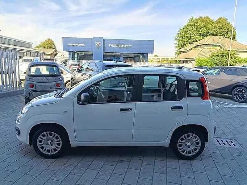 Nuova Fiat Panda Icon 69 CV (50 kW) 2025 Bianco Utilitaria
