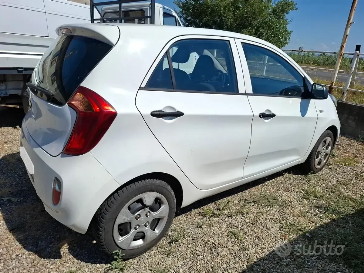 Usata Kia Picanto 85 CV (62 kW) 2012 Bianco Utilitaria