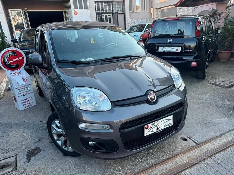Usata Fiat Panda Lounge 69 CV (50 kW) 2020 Grigio Utilitaria
