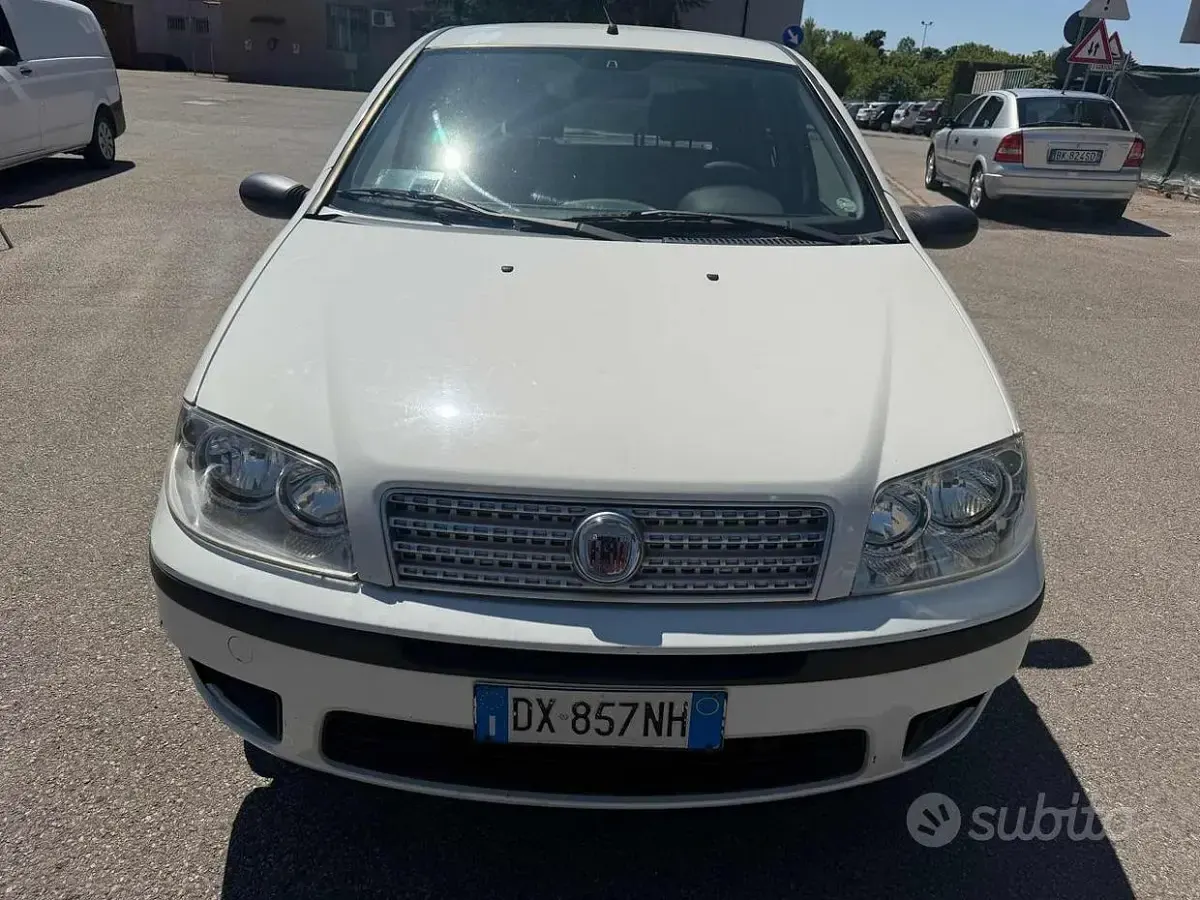 Usata Fiat Punto Active 60 CV (44 kW) 2009 Bianco Utilitaria