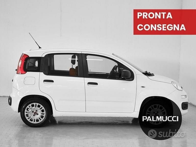 Usata Fiat Panda Easy 69 CV (50 kW) 2017 Other Utilitaria
