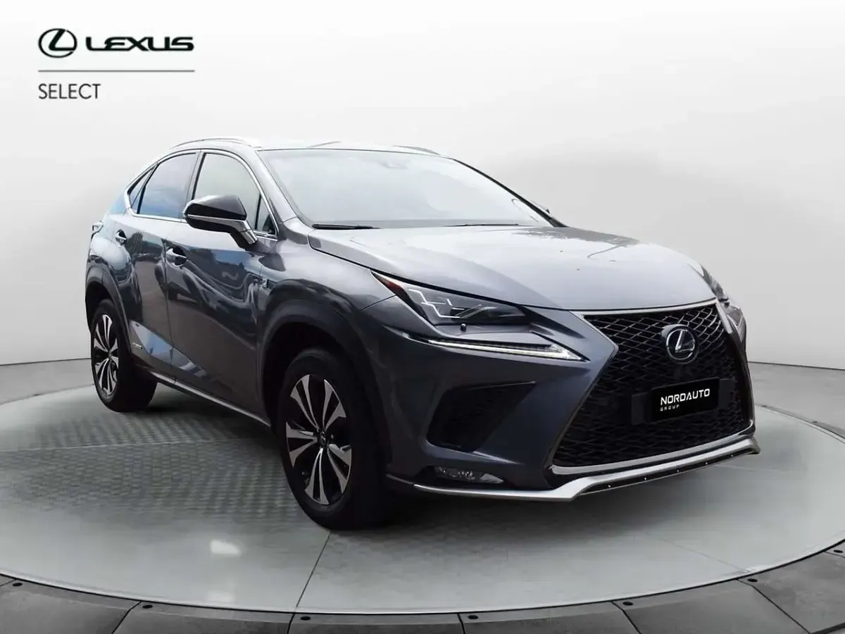 Usata Lexus NX300h Sport Line 197 CV (144 kW) 2019 Grigio SUV