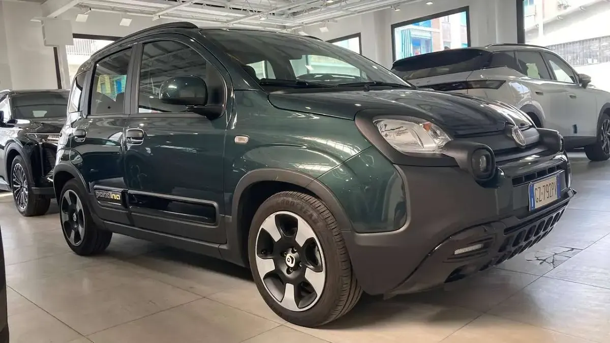 Usata Fiat Panda Cross Cross 65 CV (47 kW) 2025 Verde foresta Utilitaria