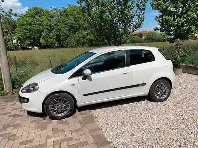 Usata Fiat Punto Evo S 69 CV (50 kW) 2011 Bianco Utilitaria