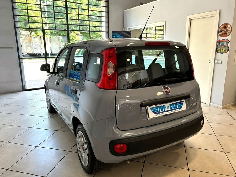 Usato 2022 Fiat Panda 1.0 El_Hybrid 70 CV (10.500 €)